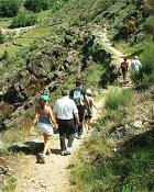 Guadarrama: La FMM celebra el 2º “Día Autonómico del Senderismo”