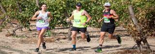 Peñafiel: La Ribera Run Experience ya ha abierto sus inscripciones