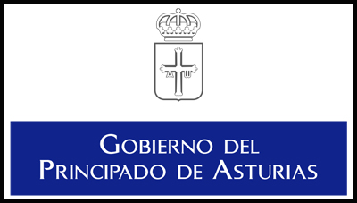 Constituida en Asturias la comisión Mujer, Deporte y Actividad Física